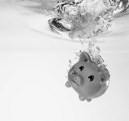 Salvamos al cerdito?